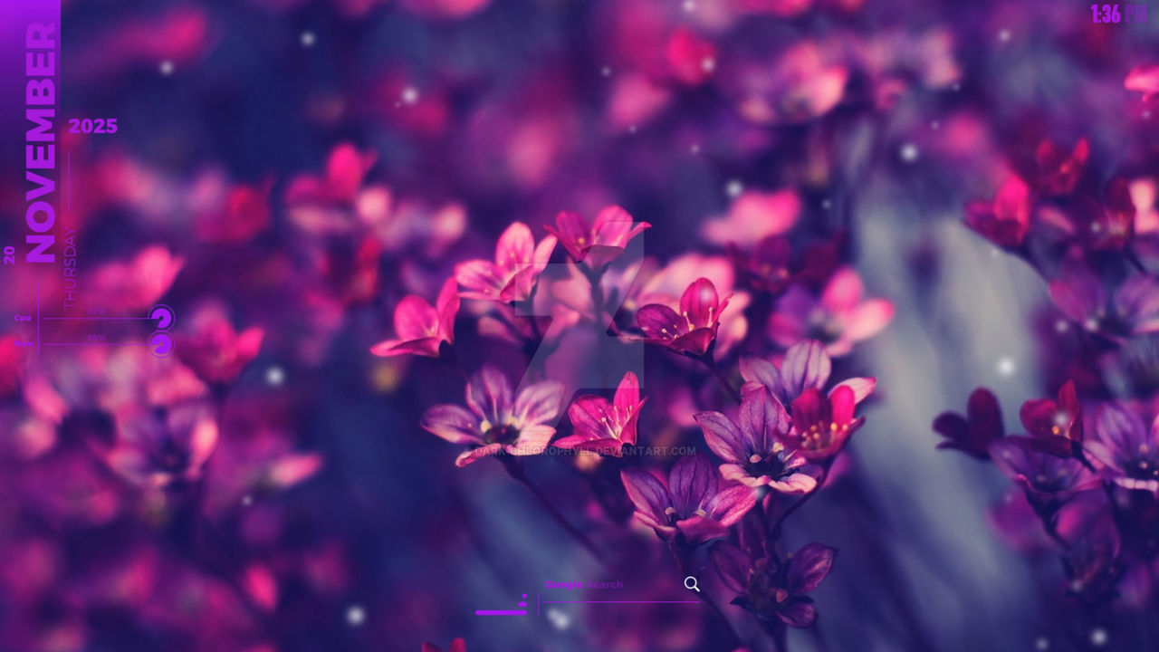 Windows Roses Theme Rose Floral Theme For Windows 11 . by dark-chlorophyll on DeviantArt