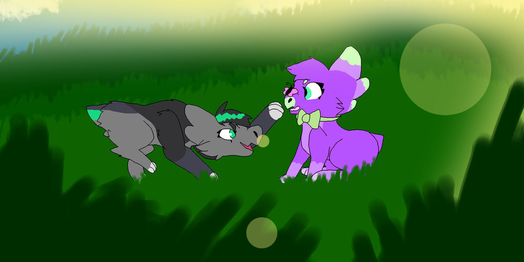Boop The Snoot by r-adicool on DeviantArt