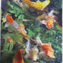 My Carp