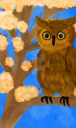 Owl on Tree Branch