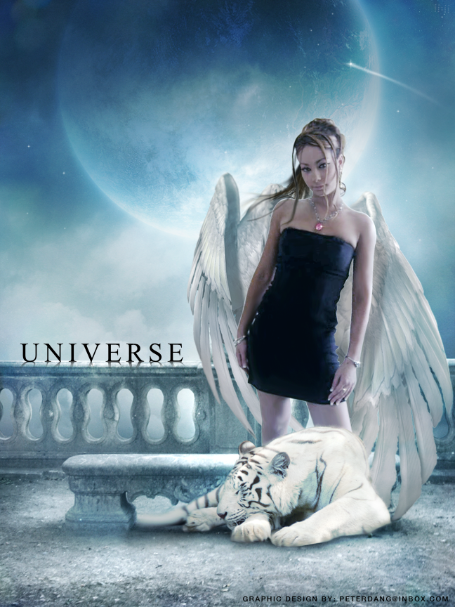 Universe Fallen Angel