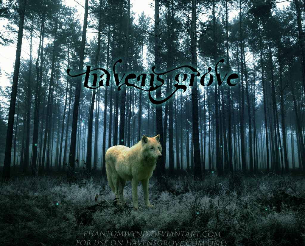 .:C:. Haven's Grove