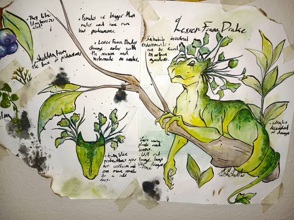 Lesser Fauna Drake by TwinStarStudios on DeviantArt