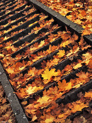 On steps of autumn by inDeevid On steps of autumn by inDeevid
