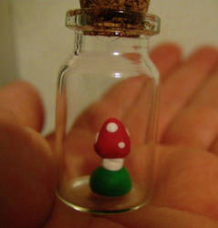 pet mushroom prototype