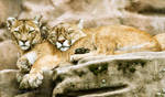 You will be safe in my Paws by PictureByPali