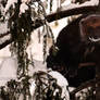 I can be a Squirrel LOOK