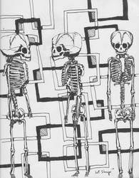 Fetal Skeletons
