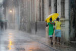 Yellow Umbrella by pwillyams Yellow Umbrella by pwillyams