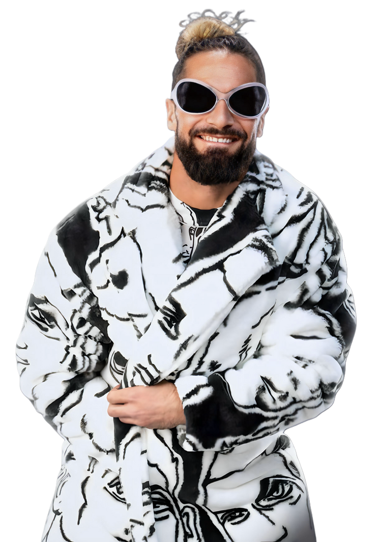 Seth Rollins WWE Render PNG by livvonce on DeviantArt