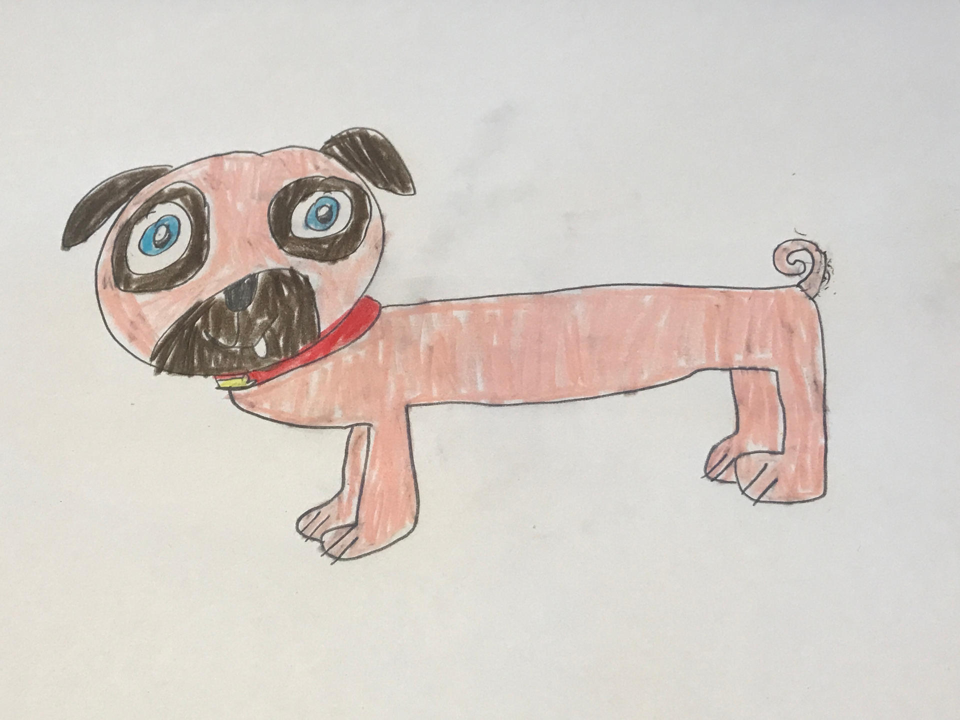 Dog Rolly Drawing Puppy Dog Pals - Rolly by AstroElemantal on DeviantArt