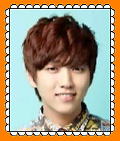 Sandeul Fan Stamp