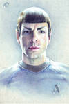 Mr. Spock (Zachary Quinto)