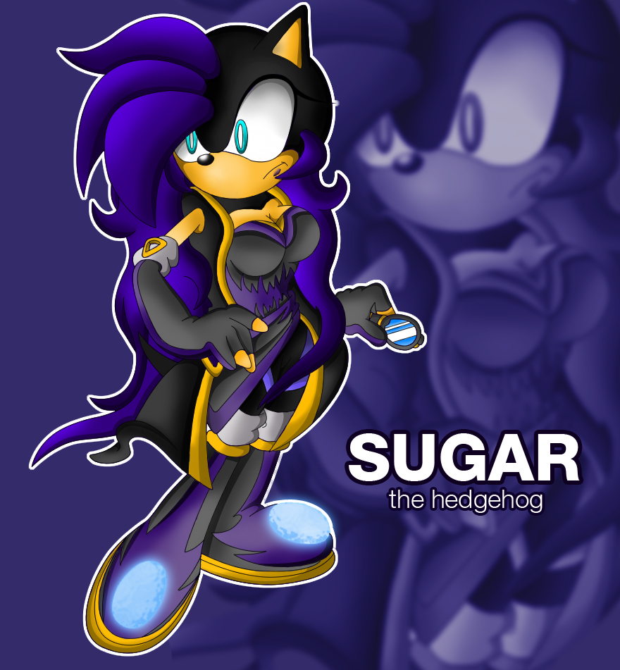 Sugar the hedgehog