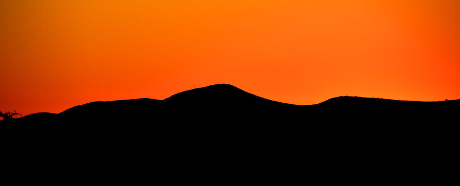 Namib Sunset