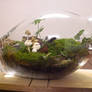 Terrarium