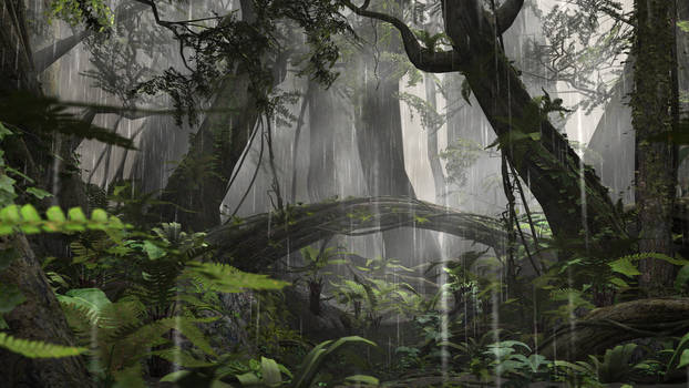 Rain Forest Stock