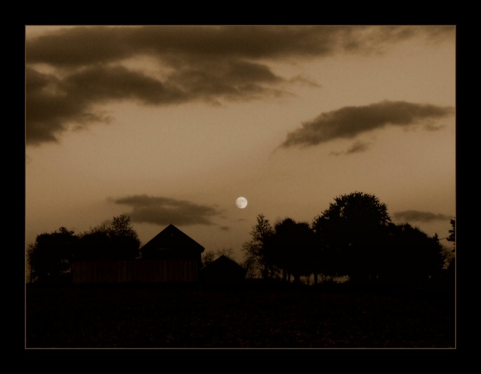 Moonlit Farm