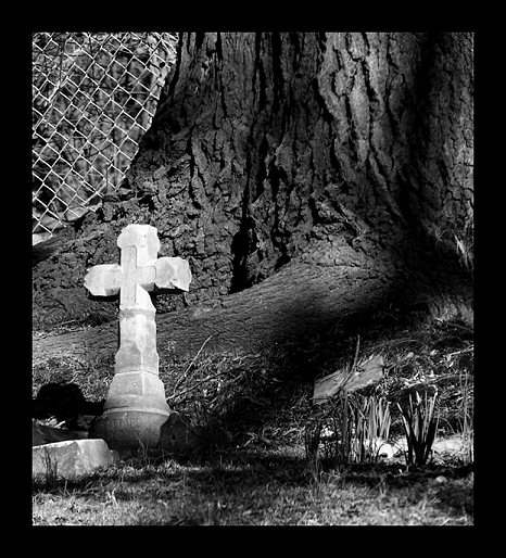 Child grave by tree