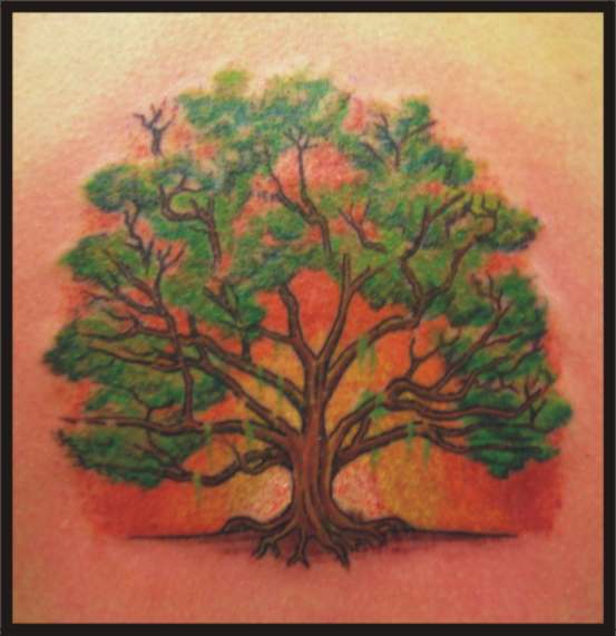 tree tattoo