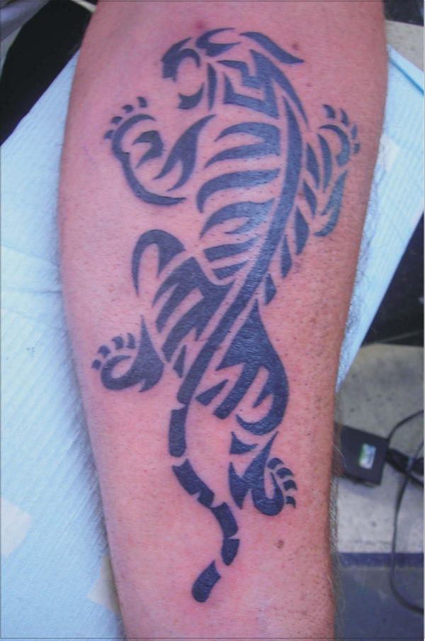 tribal tiger