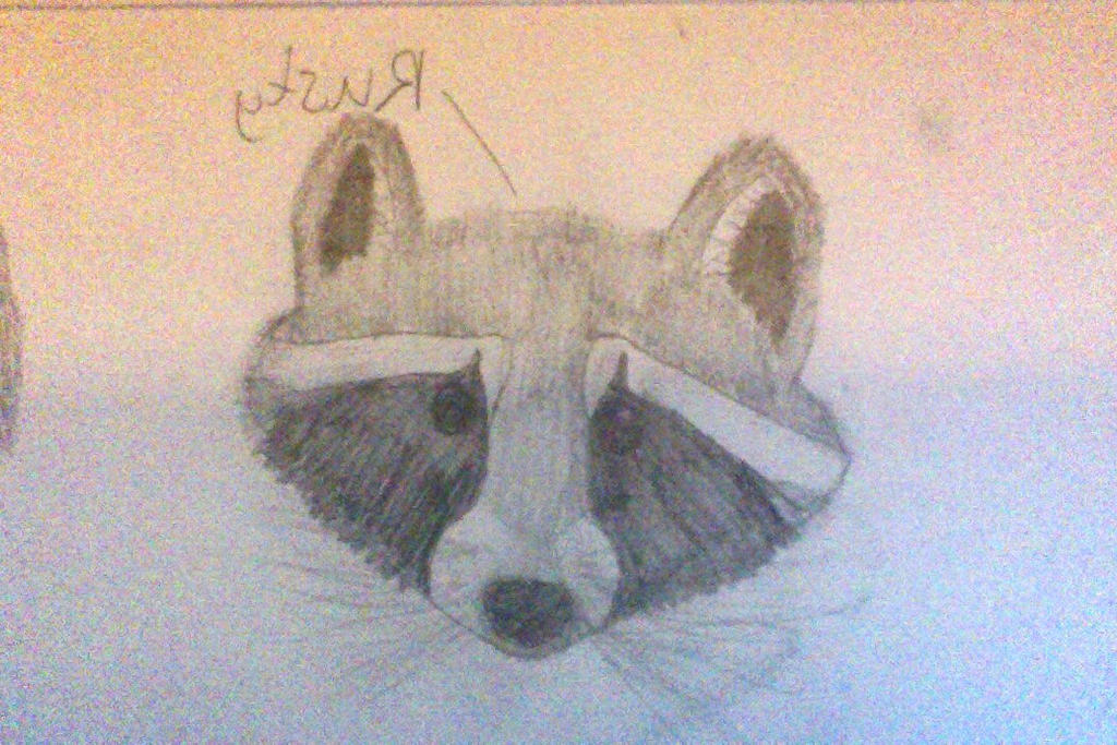 Rusty The Raccoon Rusty the Raccoon by alex15crazy on DeviantArt