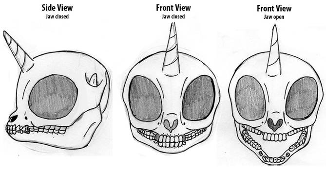 Pony Skull reference