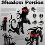 Shadow Ponies Character Sheet