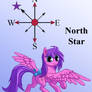 North Star Isolated