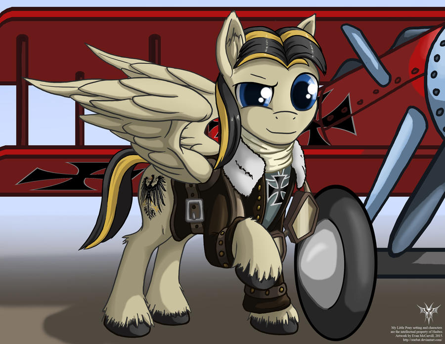 Baron von Richthofen COMMISSION