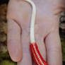 VIKING KNIT Red Wire Wrapped Raccoon PENIS Bone 2