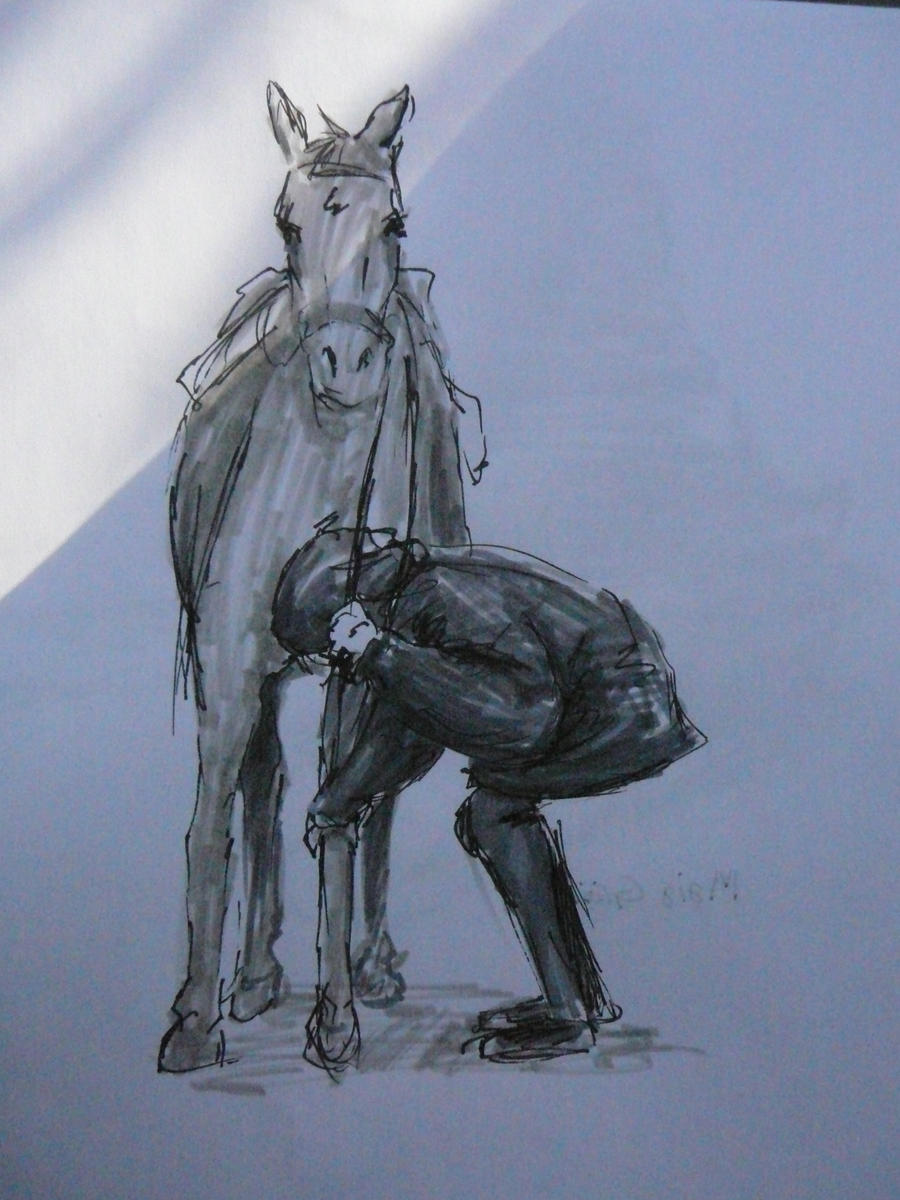 Horse life drawing 2