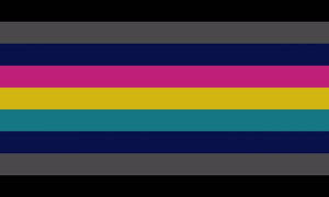 Polygendervoid