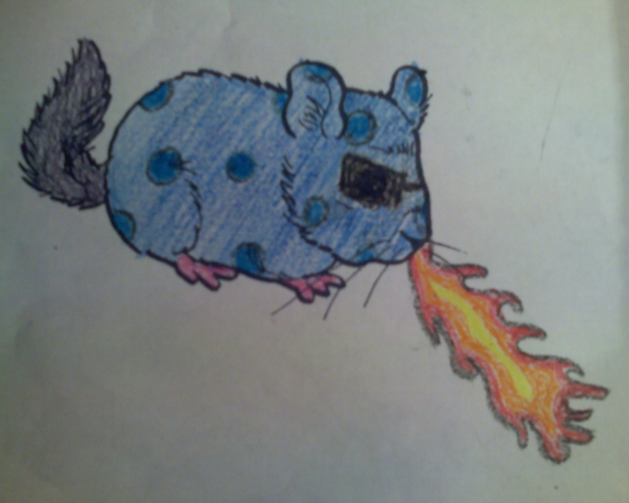 Fire Breathing Chinchilla