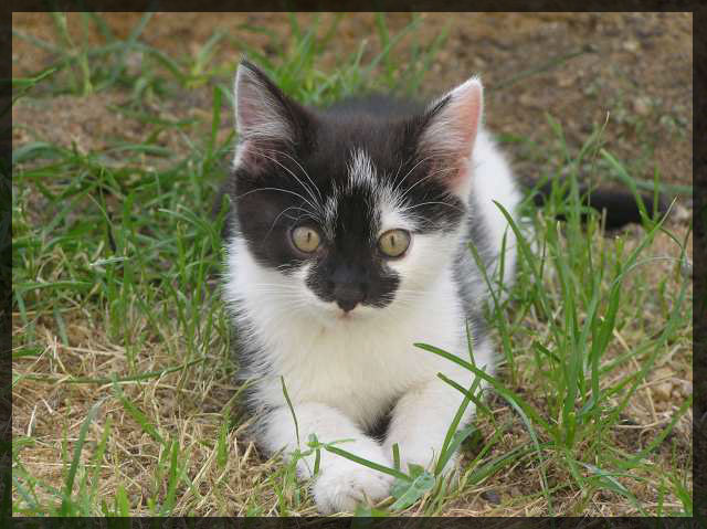 His innocent eyes