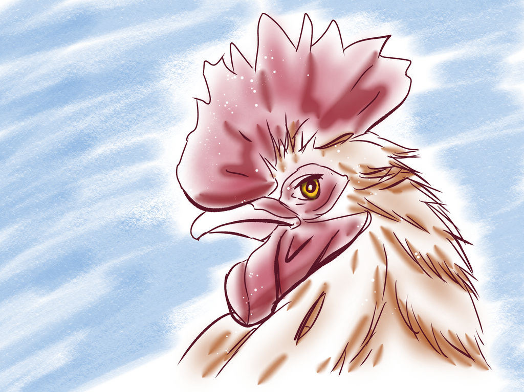 Chicken Deviantart Rooster by Saturdaythe13th on DeviantArt