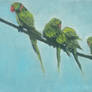 Four Parrots