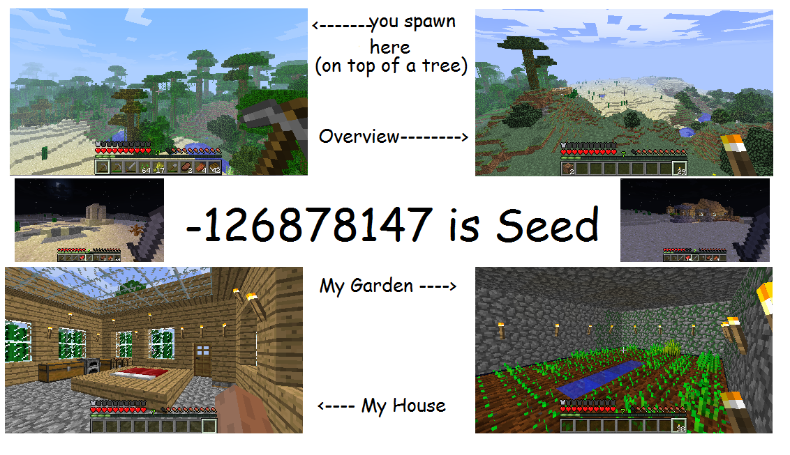 Awesome Minecraft Seed