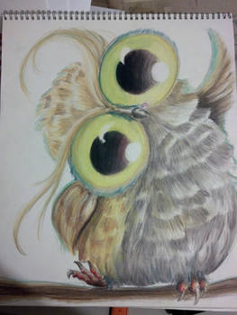 owl