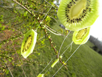 Fruit for the Birds