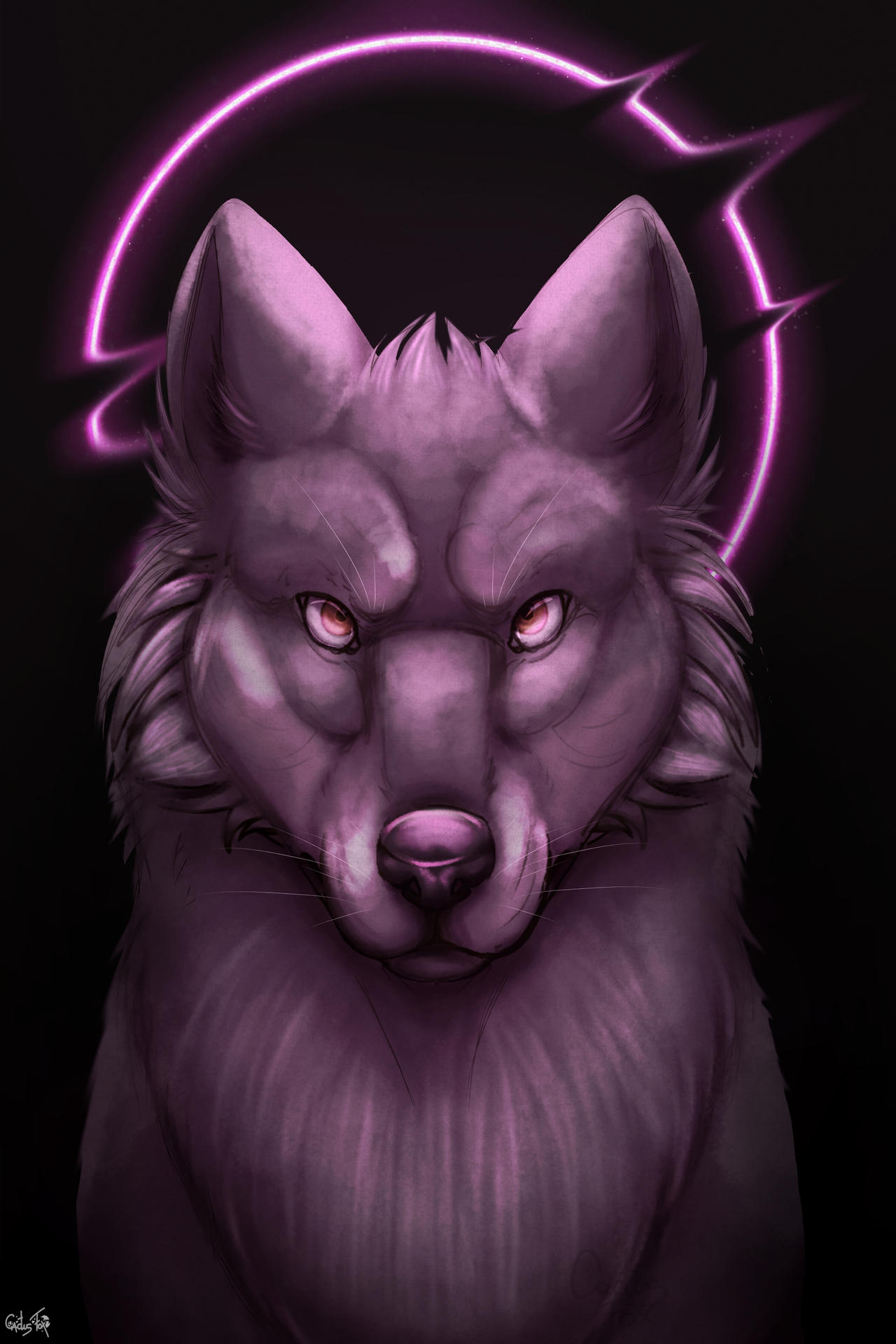Wolf by CactusFox4art on DeviantArt