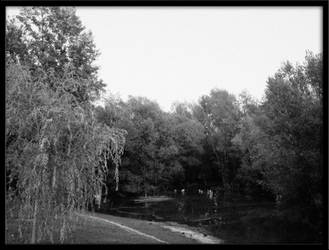 A lake for loners.