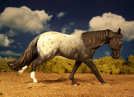 Loping Appaloosa model