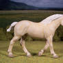 Cream Draft Horse