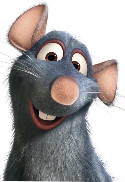 Ratatouille