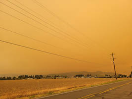 Forest fire near by.