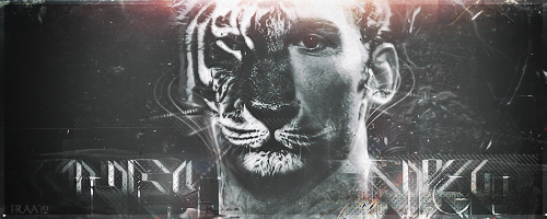 Shevchenko - The Tiger