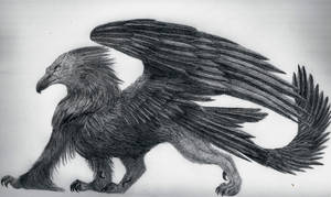 Griffon