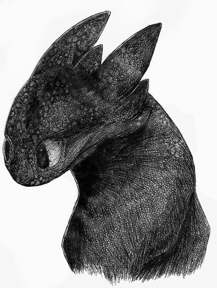 Toothless Portrait by foxspitt on DeviantArt