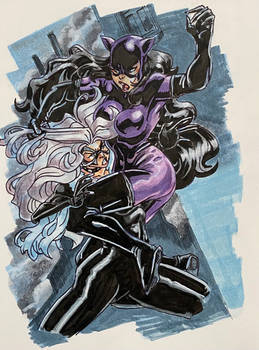 Catwoman vs Black Cat